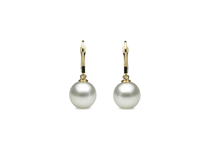 Gold Plated | Fashion Earrings